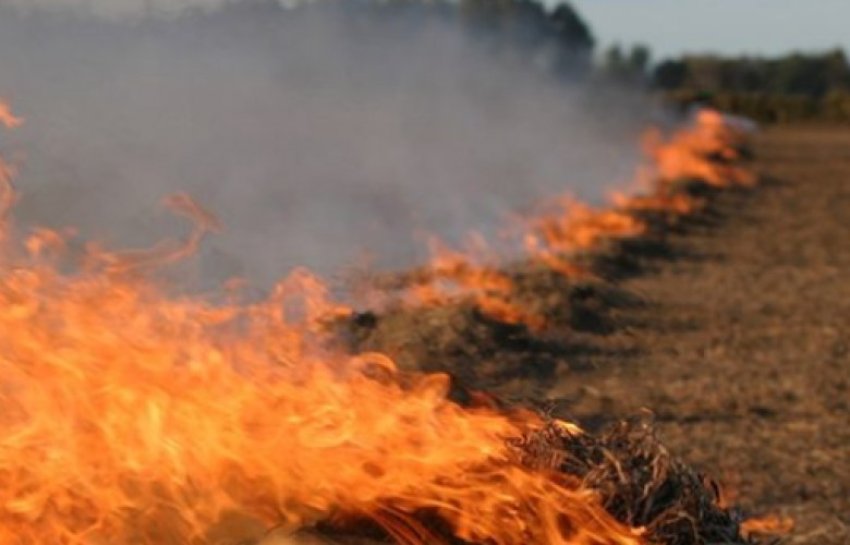 ekspertet djegia e hamulloreve e demshme per token dhe mjedisin 688e392893dd7