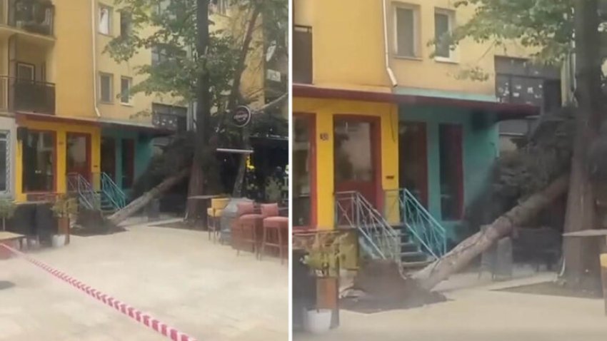 Era e fortë rrëzon një lis në qendër të Prishtinës 3 era e forte rrezon nje lis ne qender te prishtines 68b31b207cca1