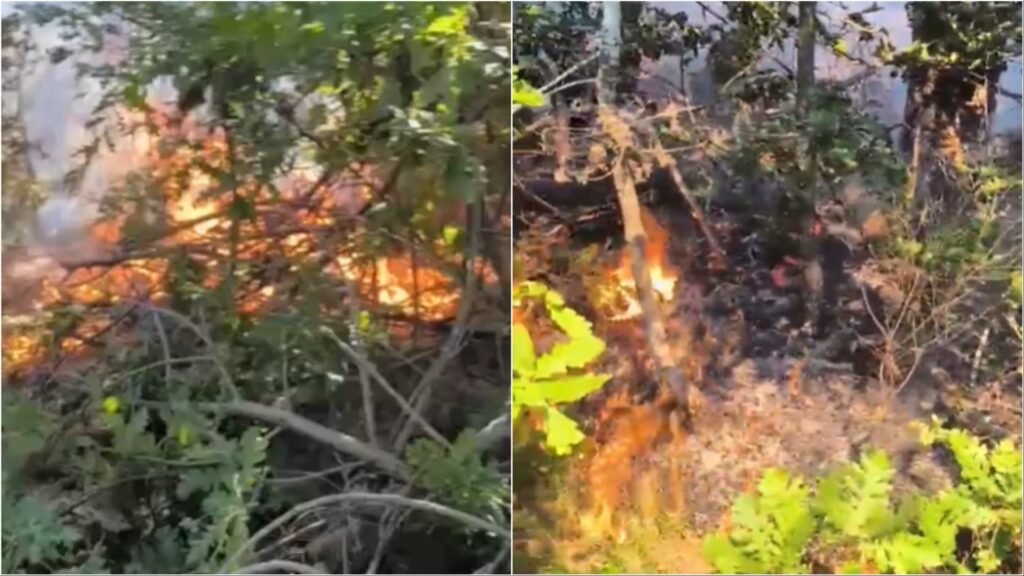 flaket perfshijne nje siperfaqe pyjore ne devoll 68af105314f4a