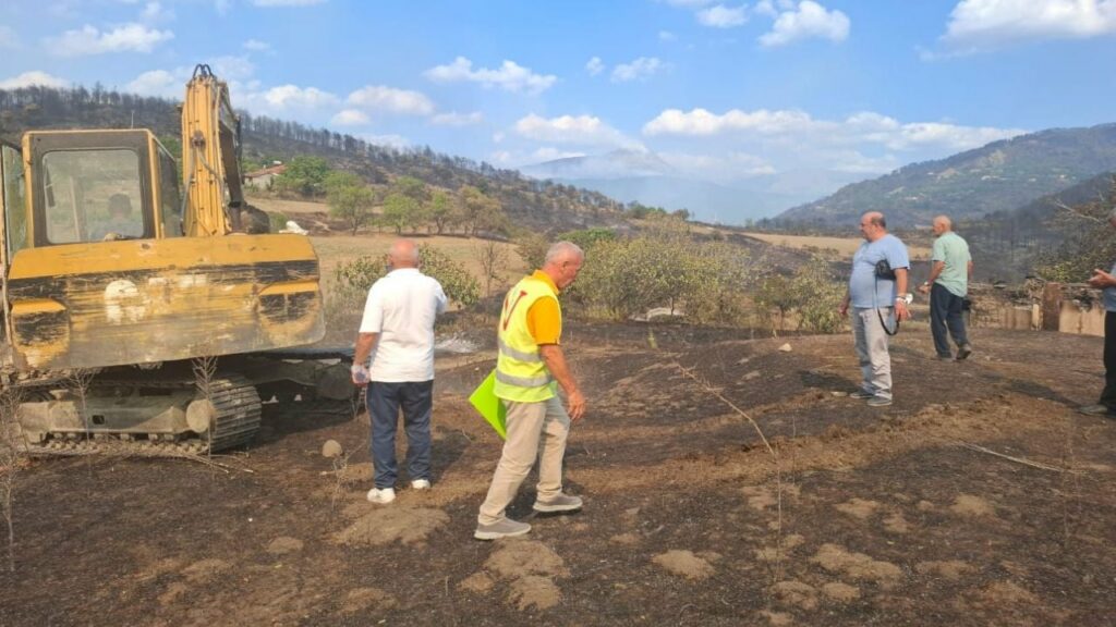 Gramsh/ Frikë për përhapjen e sëmundjeve, nis groposja e kafshëve të djegura 2 gramsh frike per perhapjen e semundjeve nis groposja e kafsheve te djegura 689cb7940c896