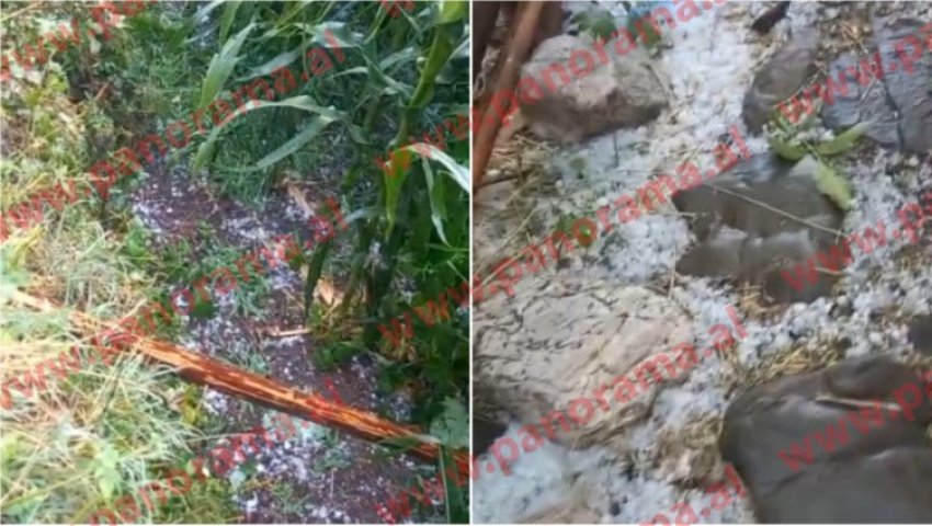 Gramshi goditet nga stuhia e breshrit, dëme të mëdha në bujqësi 2 gramshi goditet nga stuhia e breshrit deme te medha ne bujqesi 68910c1a09ee1