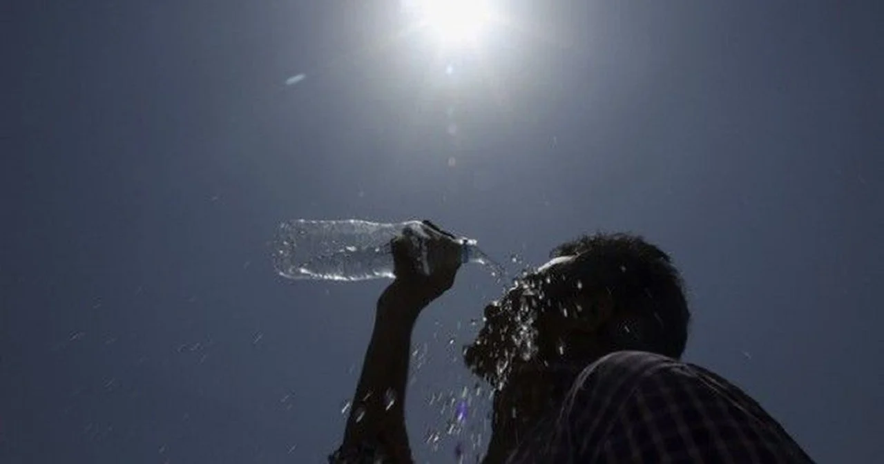 i nxehti afrikan temperaturat deri ne 42c 6899dc490cab1