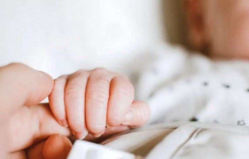 nataliteti ne renie ne kosove ekspertet kerkojne veprim institucional 688f6e815fc68