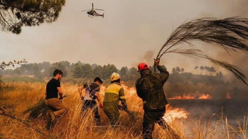 nje burre u shtyp per vdekje nga buldozeri i tij ndersa luftonte zjarret ne portugali 68a5d1153105c