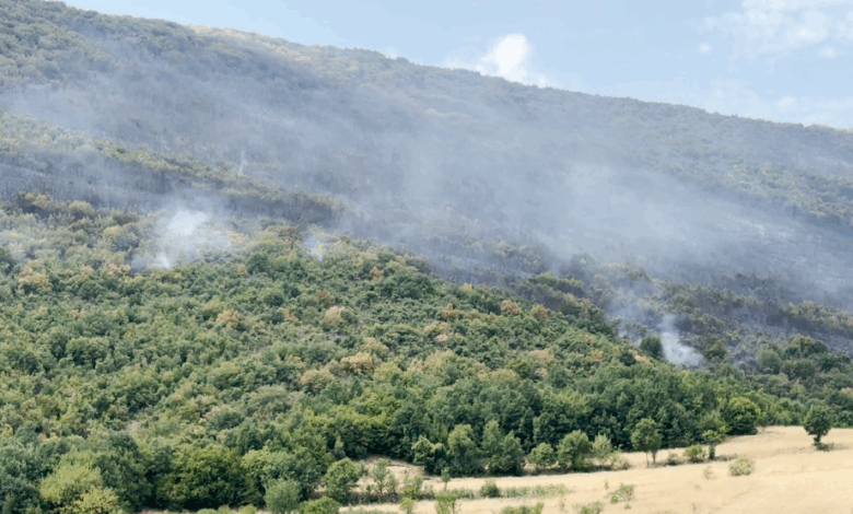 Pas dhjetë ditësh shuhet zjarri në “Jasen” 3 pas dhjete ditesh shuhet zjarri ne jasen 68a847f1d6c59