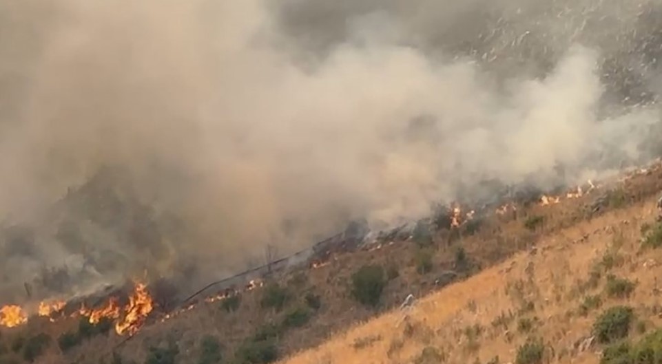 Përfshihen nga zjarri pylli dhe kullotat në Tragjas 2 perfshihen nga zjarri pylli dhe kullotat ne tragjas 68962005f3989