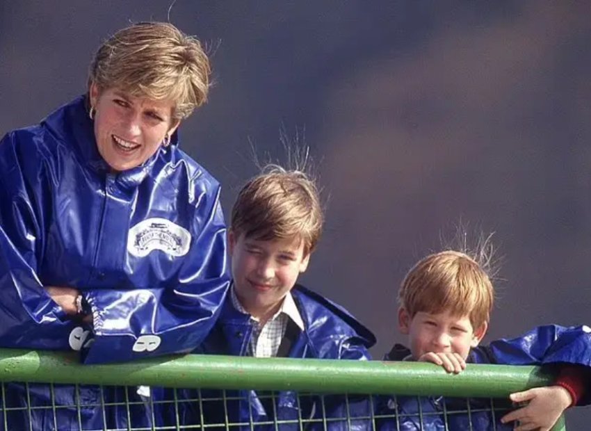 Pse djemtë e Princeshës Diana nuk do trashëgojnë pronën familjare? 2 pse djemte e princeshes diana nuk do trashegojne pronen familjare 68998b1a9a0a8