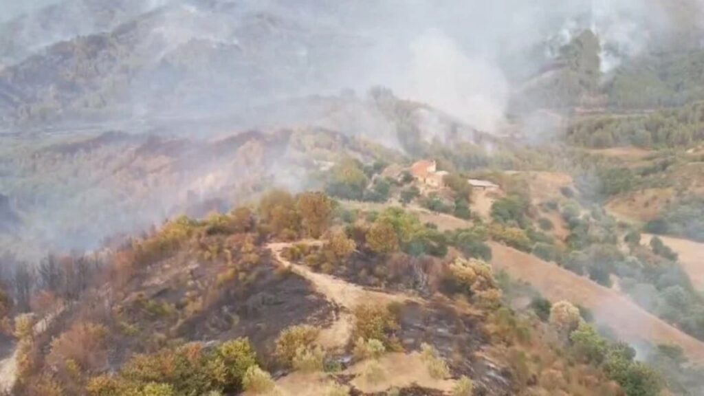 qetesohet situata ne fshatrat e gramshit banoret rikthehen ne banesa vijon groposja e bagetive te djegura 689d936abfa35