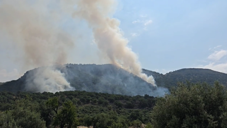 QMK: Gjithsej 10 zjarre në hapësirë të hapur deri në orën 18, tre nën kontroll, shtatë janë shuar 2 qmk gjithsej 10 zjarre ne hapesire te hapur deri ne oren 18 tre nen kontroll shtate jane shuar 68adf57803b7e