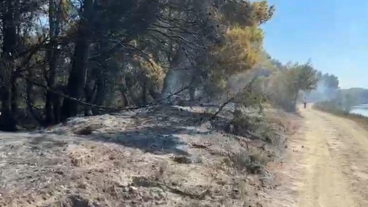 Riaktivizohen flakët në pyllin e Poros në Vlorë, shkrumbohet një sipërfaqe e konsiderueshme me pisha 1 riaktivizohen flaket ne pyllin e poros ne vlore shkrumbohet nje siperfaqe e konsiderueshme me pisha 68aeef0a59888