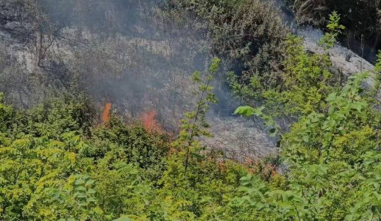 rrogozhine ndezi zjarr ne token e tij dhe dogji pranga 31 vjecarit 68a18d13e020c