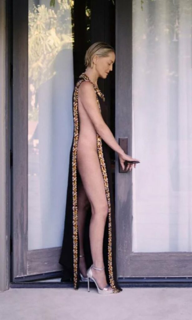 Sharon Stone, e papërmbajtshme me pamje të guximshme 33 vjet pas Basic Instinct 2 sharon stone e papermbajtshme me pamje te guximshme 33 vjet pas basic instinct 68a746b2e6df4