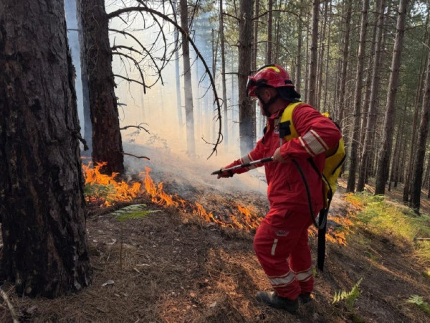 Shtatë vatra zjarri aktive në Shqipëri 2 shtate vatra zjarri aktive ne shqiperi 6890b7ba5c830