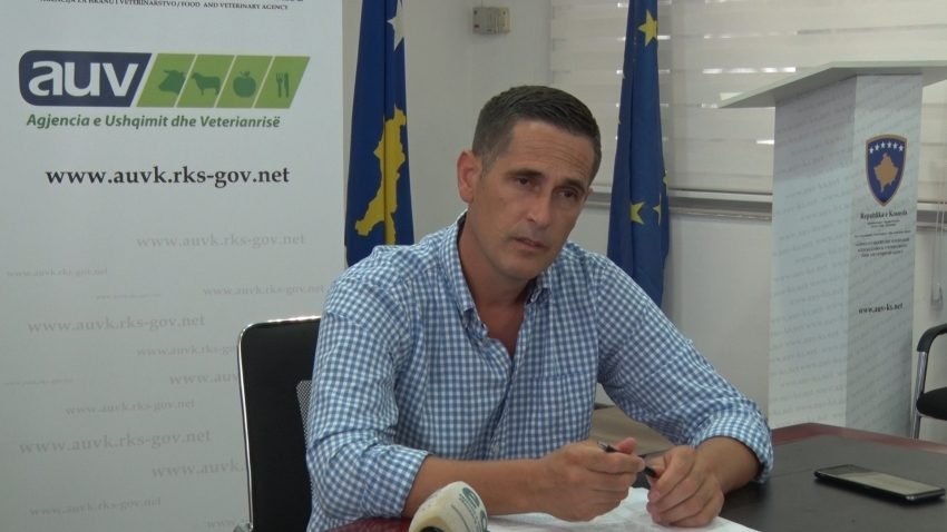 Si transmetohet sëmundja “gjuha e kaltër” te bagëtitë? 3 si transmetohet semundja gjuha e kalter te bagetite 688fc2e1b386f