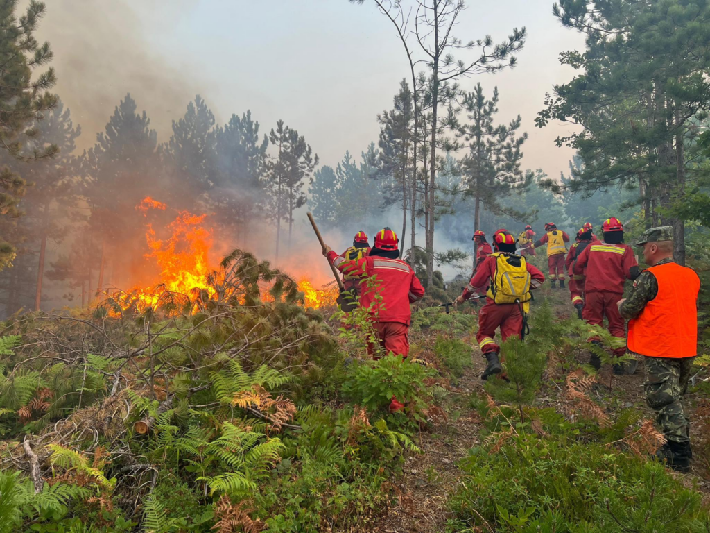 Situata e zjarreve në vend, MM: 23 vatra aktive zjarri, ja zonat më problematike 2 situata e zjarreve ne vend mm 23 vatra aktive zjarri ja zonat me problematike 689e08ff5229c