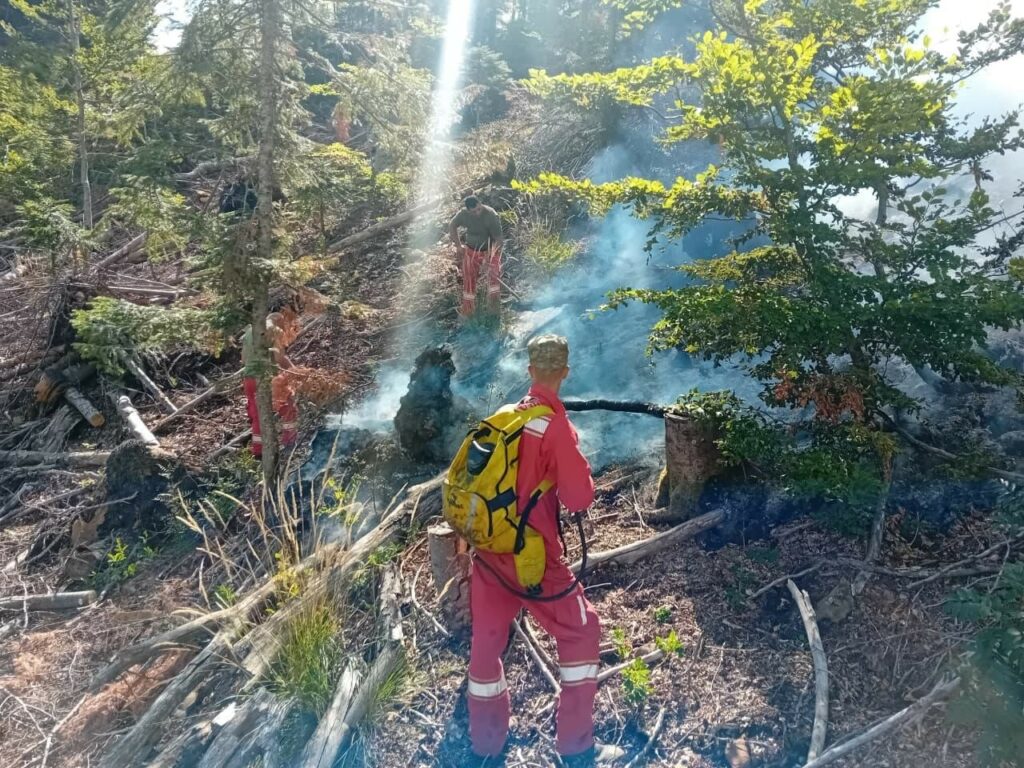 situata me zjarret 5 vatra ne 24 ore 3 ende aktive 2 te tjera ne monitorim 68a44c13d4283