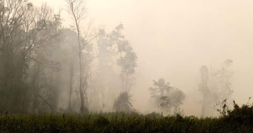 stinet nuk ekzistojne me studimi aktiviteti njerezor po sjell stine te reja 6890f1264bac9