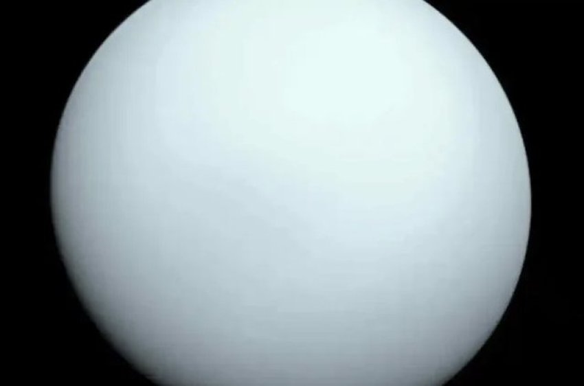 Teleskopi “Webb” zbulon një hënë të re rreth Uranit 1 teleskopi webb zbulon nje hene te re rreth uranit 68a4efceef536