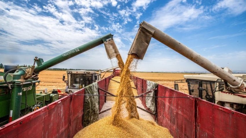 Tripunovski: Shpallet thirrja për blerjen e grurit vendas për rezervat shtetërore 3 tripunovski shpallet thirrja per blerjen e grurit vendas per rezervat shteterore 68a0c9d977806