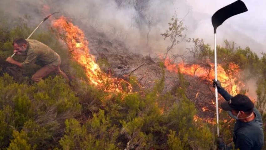 Vala e të nxehtit të gushtit në Spanjë ishte ‘më intensivja e regjistruar ndonjëherë’ 2 vala e te nxehtit te gushtit ne spanje ishte me intensivja e regjistruar ndonjehere 68ac6896e43e5