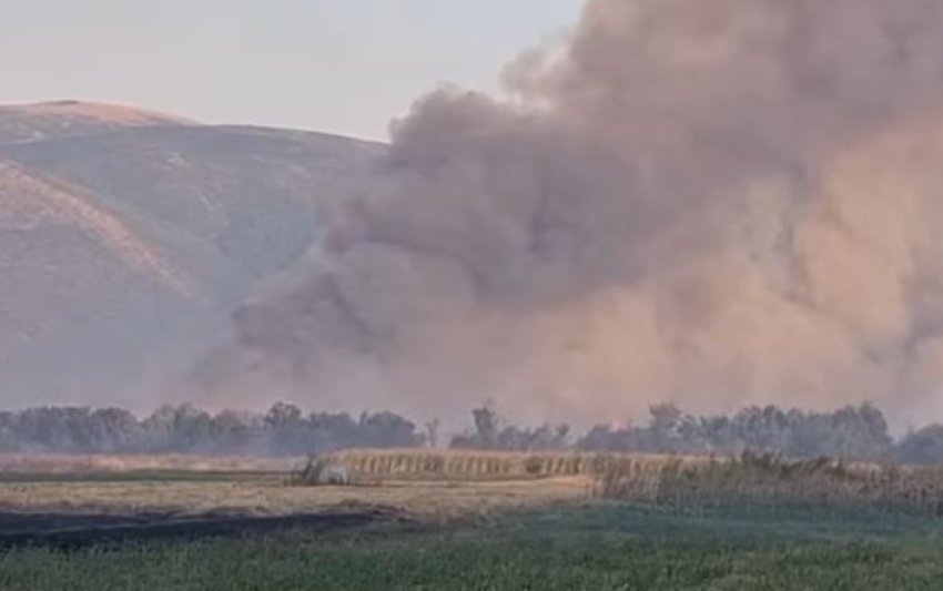 Vazhdon zjarri në fushat e Sllatinës dhe Tearcës, zjarrfikësit e Tetovës të gjithë në vendngjarje 3 vazhdon zjarri ne fushat e sllatines dhe tearces zjarrfikesit e tetoves te gjithe ne vendngjarje 689a32681305e