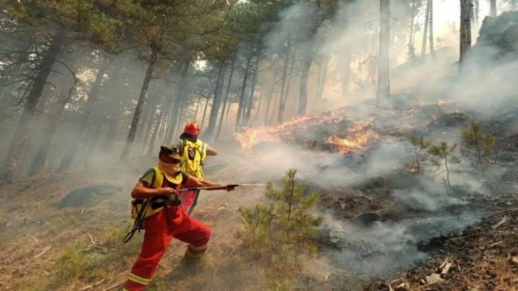 vihen nen kontroll flaket tek syri i kalter disa vatra aktivizohen here pas here 689de7b7eccc8