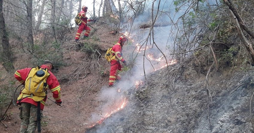 Vihet në kontroll vatra e zjarrit në Bogovë të Skraparit 2 vihet ne kontroll vatra e zjarrit ne bogove te skraparit 68ad805545fbd