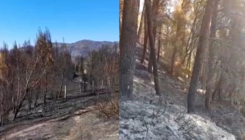 vihet nen kontroll zjarri ne polican nuk ka me rrezik per banesat 68999db4a5e88