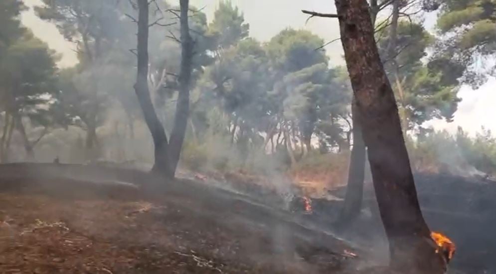 vijon zjarri prane lagunes se nartes nderhyjne edhe dy helikoptere per shuarjen e flakeve 68adb9b090c23