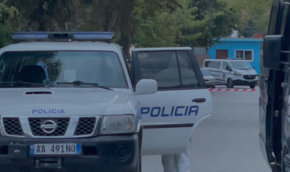 vrasja me thike e 14 vjecarit ne maliq zbardhen detajet e krimit te rende i mituri u takua me autorin per tu sqaruar si degradoi sherri mes tyre 689e3c17b9d09