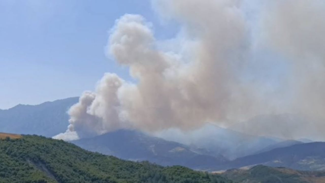 zjarret masive ne gramsh 8 grupe ne terren per vleresimin e demeve brenda nje jave do ti dorezohet institucioneve 689f557ea3b36