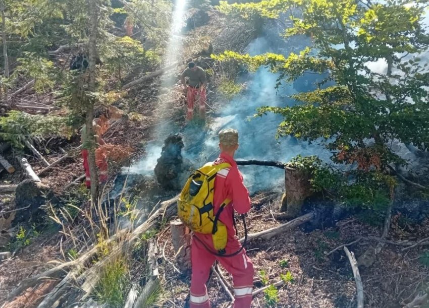 zjarret ministria e mbrojtjes ben bilancin 34 vatra ja zonat me problematike 68a1a2df560ba