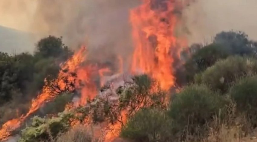 Zjarret në fshatrat e Dhivrit në Gjirokastër jashtë kontrollit, nis ndërhyrja nga ajri! Autoritetet thirrje banorëve 2 zjarret ne fshatrat e dhivrit ne gjirokaster jashte kontrollit nis nderhyrja nga ajri autoritetet thirrje banoreve 6894ac21bce37