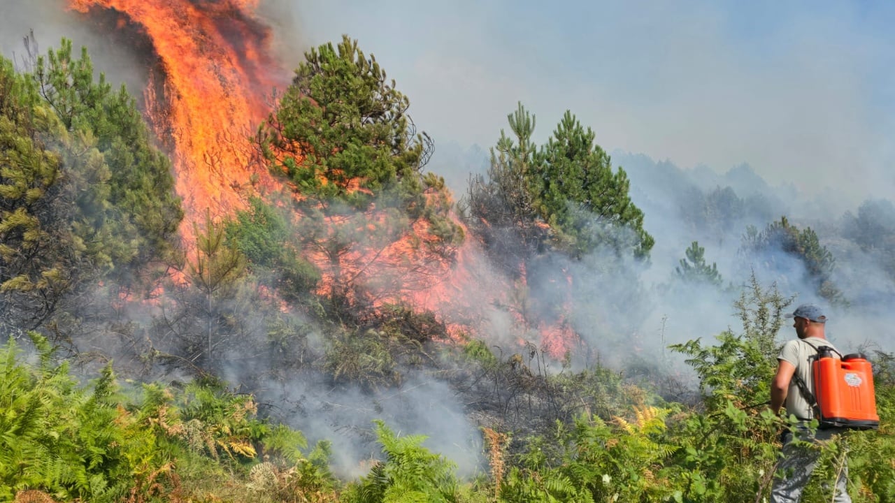 zjarret ne gramsh shpetohet kurora e gjelber e zones se mbrojtur ne liqenin e dushkut aktive vatra ne malin e komjanit 689dcba88b4c3