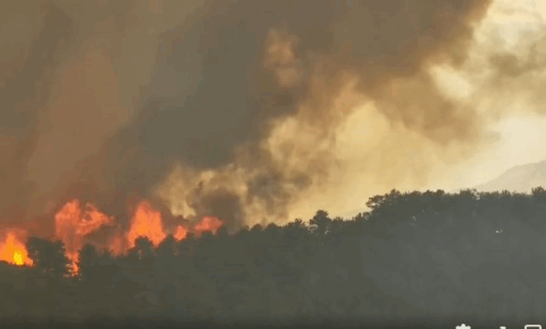 zjarret ne jazhince jasen dhe likove jane ende aktive 68a1b07e7a53d