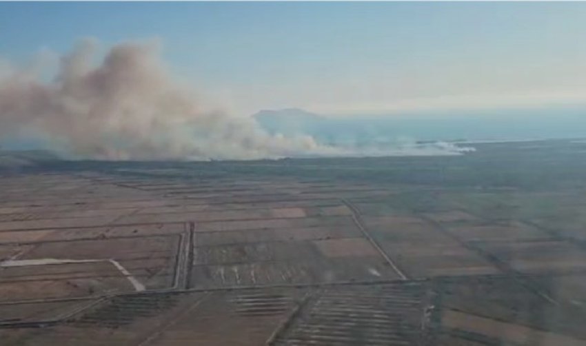 Zjarret në Shqipëri, mobilizim nga toka dhe ajri për shuarjen e tyre 2 zjarret ne shqiperi mobilizim nga toka dhe ajri per shuarjen e tyre 68acbb768ab17