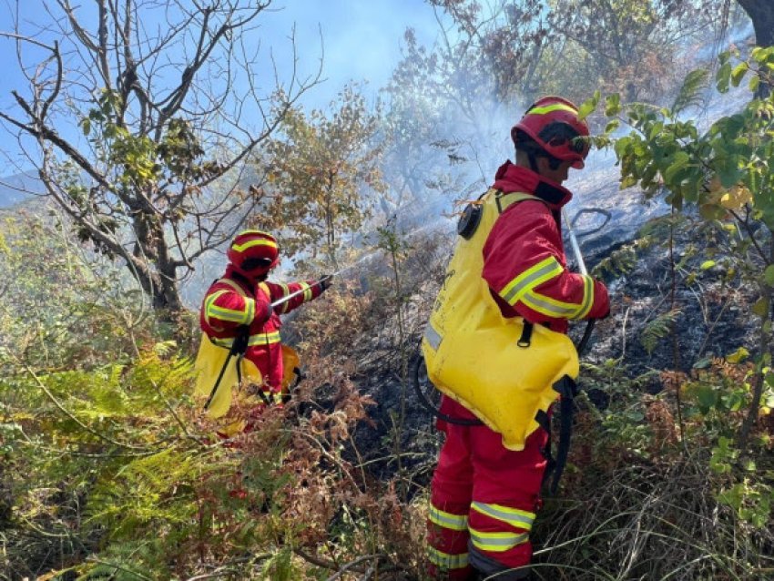 Zjarret pushtojnë Shqipërinë, Begaj: Çdo ndihmë është jetike 3 zjarret pushtojne shqiperine begaj cdo ndihme eshte jetike 689b43a09e17e