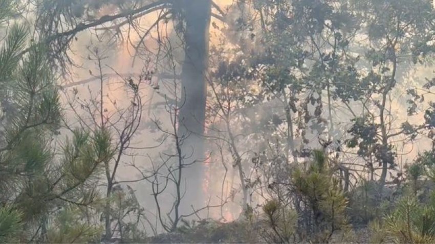 zjarri ne devoll vazhdon prej shtate oresh banoret u bashkohen ekipeve zjarrfikese 68af7a969e9b1