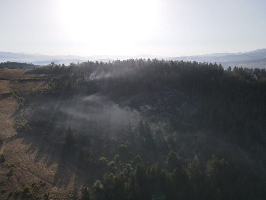 zjarri ne kuroren e pyllit ne fshatin miras te devollit ne terren mbi 100 forca 68b158b7f02fa