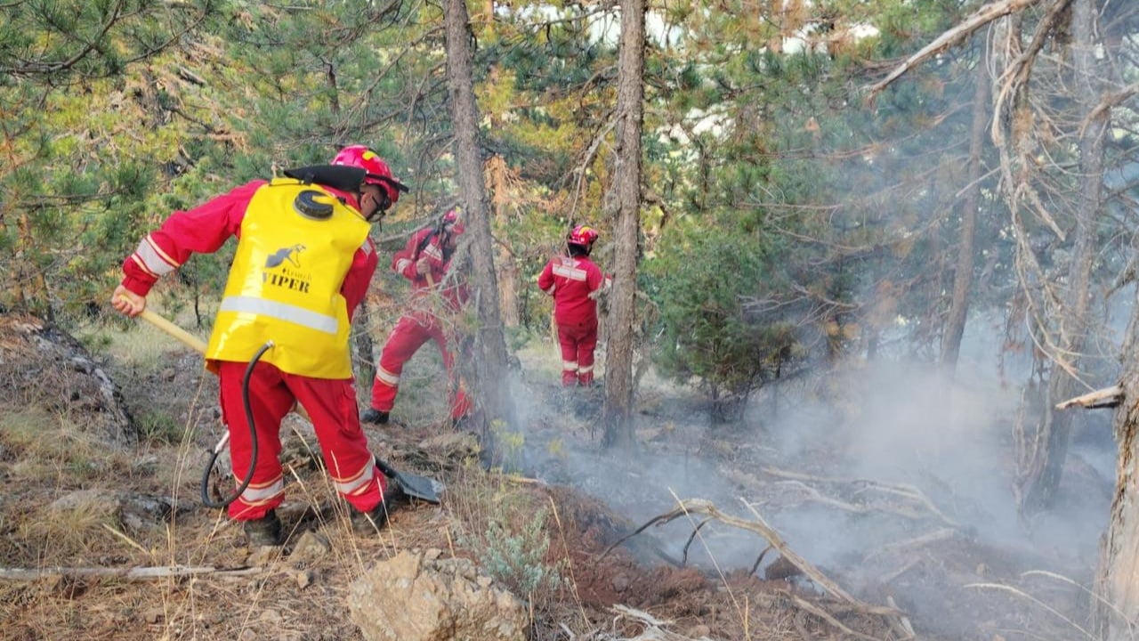 zjarri ne parkun natyror te germenjit pakesohet numri i vatrave aktive 68a187ee34fd1