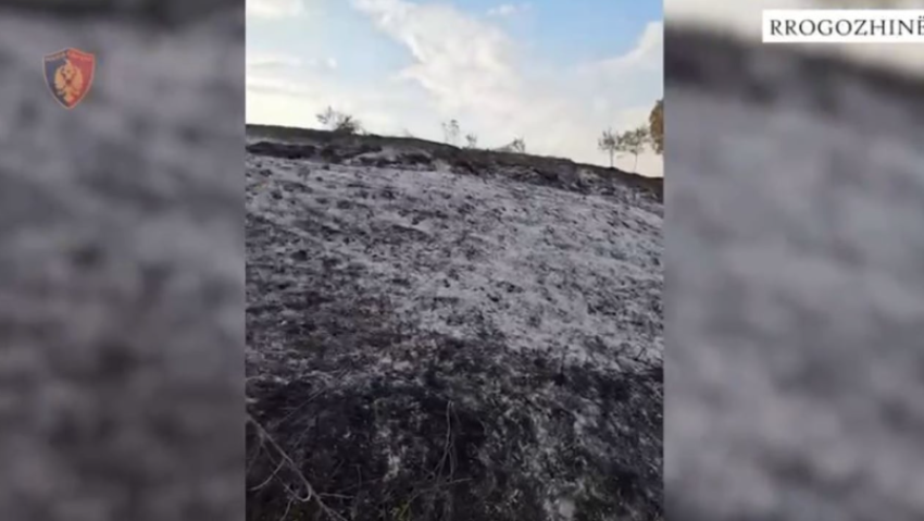 zjarri ne rrogozhine identifikohet dhe vihet ne pranga autori i dyshuar flaket i dolen jashte kontrolli 68a186c0d46a5