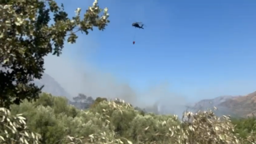 zjarri ne syrin e kalter digjen 40 koshere bletesh rrezikohet zona e mbrojtur 689a0e51044bd