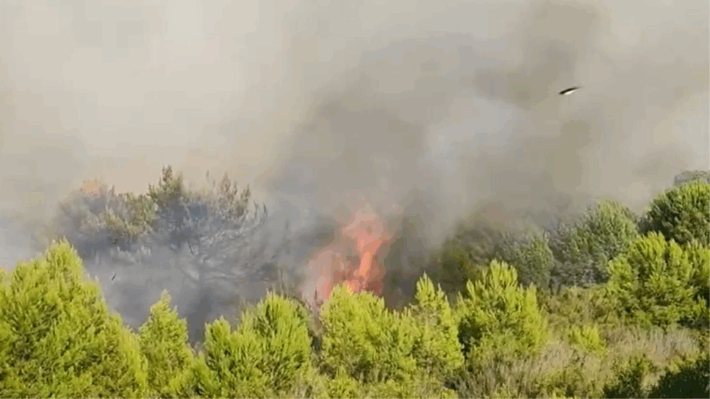 zjarri ne vlore kryebashkiaku presim ndihme nga forcat e armatosura 68acc1b31388a