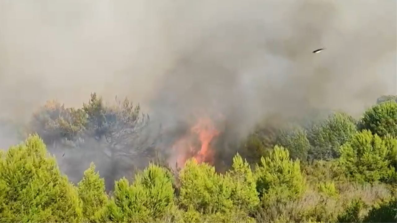 zjarri ne vlore kryebashkiaku presim ndihme nga forcat e armatosura 68acc1b31388a