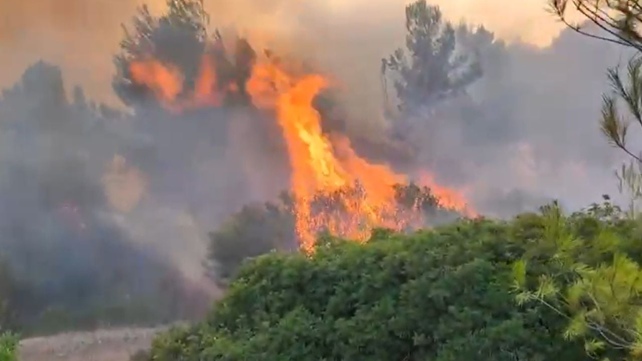 Zjarri në Vlorë përhapet me shpejtësi! Terreni i vështirë pengon zjarrfikëset, ndërhyjnë katër helikopterë 1 zjarri ne vlore perhapet me shpejtesi terreni i veshtire pengon zjarrfikeset nderhyjne kater helikoptere 68aca06567bed