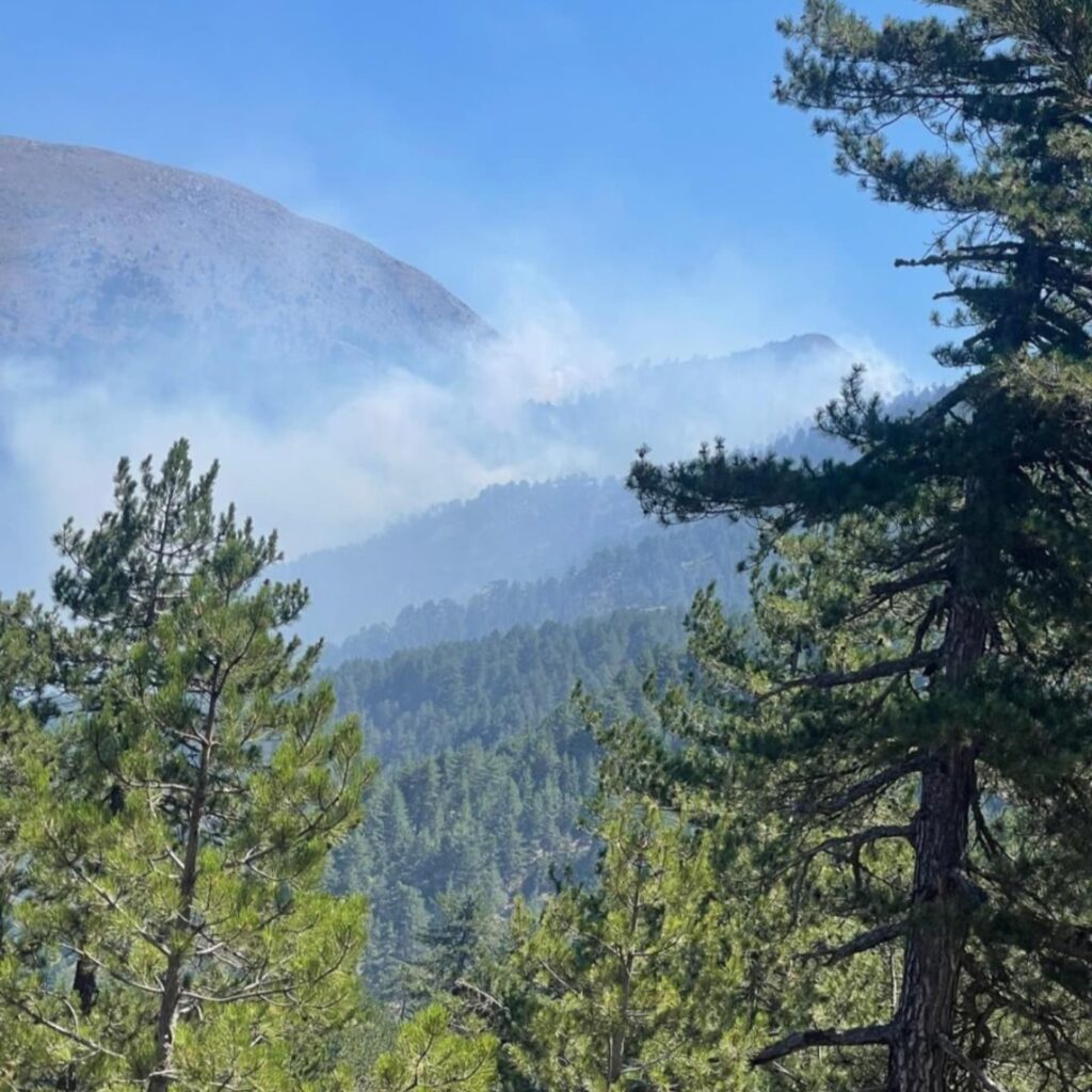 Zjarri në zonën e minuar pranë Parkut Natyror të Gërmjenit, forcat xheniere në… 6 zjarri ne zonen e minuar prane parkut natyror te germjenit forcat xheniere ne 689c470d57e8a