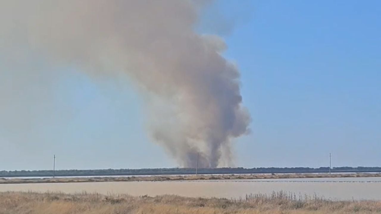 zjarri perfshin pyllin me pisha prane lagunes se nartes kerkohet nderhyrje nga ajri 68ac844bafec2