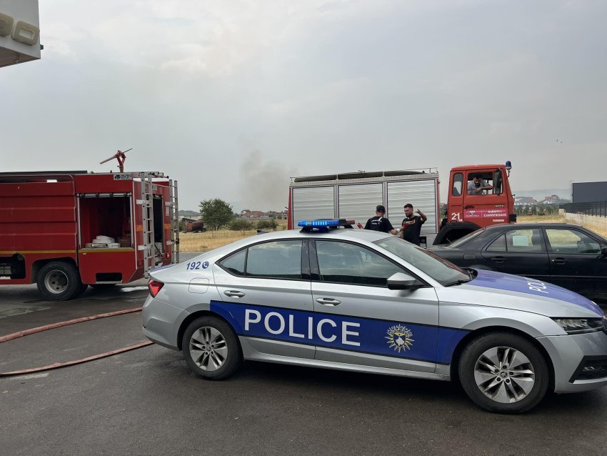 zjarri perfshine fidane te pishave dekorative ne podujeve demi rreth 20 mije euro 688dc8a0b2f47