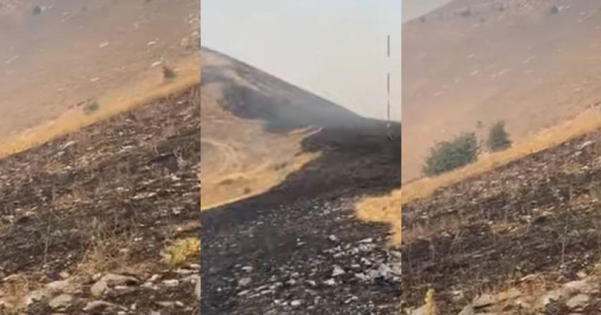 Zjarri rrezikonte Lazaratin dhe Gjirokastrën, pas disa orësh shuhen flakët, banorët ndihmuan zjarrfikësit 3 zjarri rrezikonte lazaratin dhe gjirokastren pas disa oresh shuhen flaket banoret ndihmuan zjarrfikesit 689ce980ef860