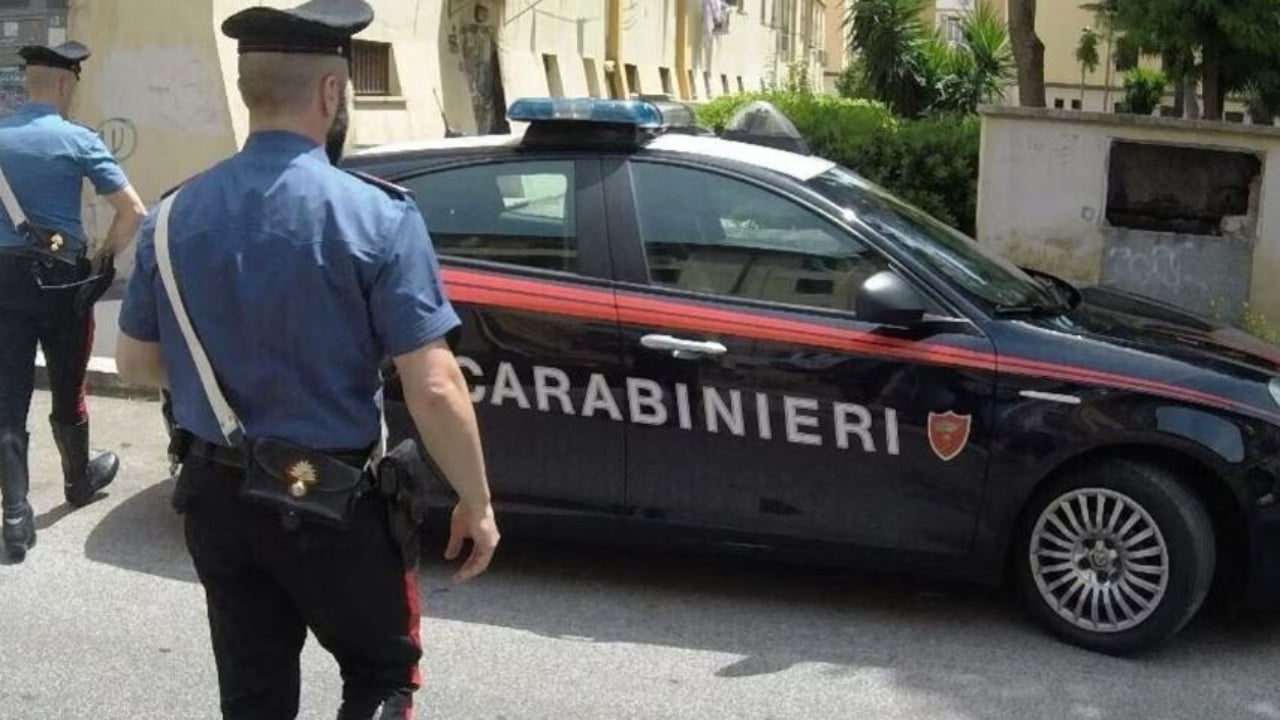 Babai tentoi të mbyste djalin e tij të mitur dhe i vuri flakën shtëpisë, qeni hero i shpëton jetën fëmijës 1 babai tentoi te mbyste djalin e tij te mitur dhe i vuri flaken shtepise qeni hero i shpeton jeten femijes 68c479a67c01d